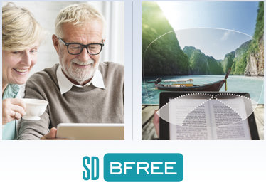 SD Bfree